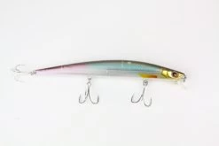 Sea Fishing Store -Sea Fishing Store image336953897 1 scaled 1