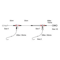 Tronixpro 2 Hook Clipped Rig
