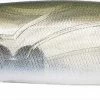 Megabass Kiss Zonk 120 Sw – 10.5cm 6g -Sea Fishing Store image349792752 3