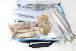 Sunset RS Competition Thermo Bag -Sea Fishing Store image367820958 scaled 1