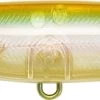 Xorus Asturie 90 Top Water Lure 9cm 11g