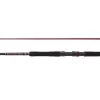 PENN Squadron III Inner Boat Spinning Rods