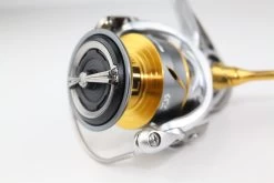 Daiwa Freams LT -Sea Fishing Store image386027118