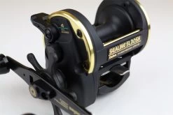 Daiwa Sealine SL30SH