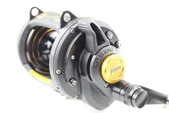 Penn Squall Lever 30 VSW Drag 2 Speed -Sea Fishing Store image392614907