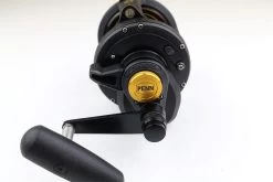 Penn Squall Lever 30 VSW Drag 2 Speed -Sea Fishing Store image392614934